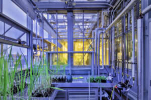 NYU – Genomics Greenhouse