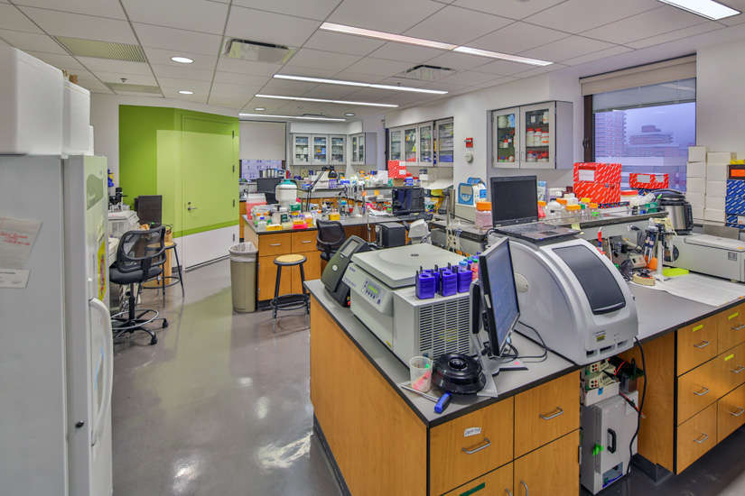 NYU – Dental Laboratories